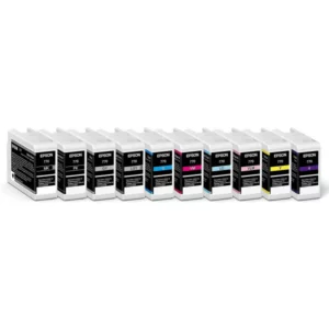 Epson T46S Ink Cartridges