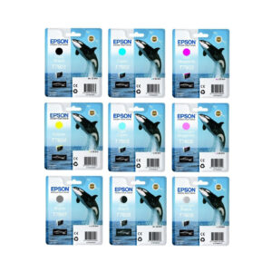 Epson T760 (Killer Whale) Ink Cartridges