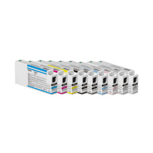 Epson T804 Ink Cartridges