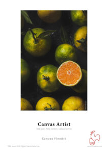 Canvas Artist 340