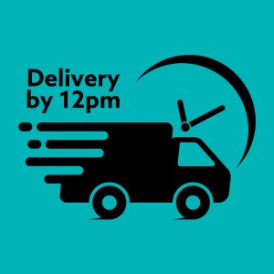 Pre-Midday Next Day Delivery Service